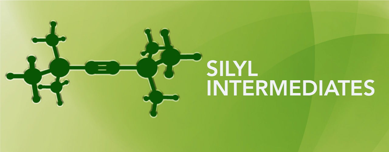 Silyl Intermediates
